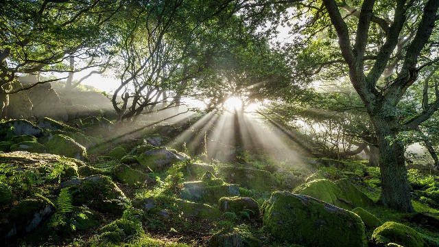 「讲时尚的三虎」几句伤感系爱情语录，句句触动泪点，让人能量满满