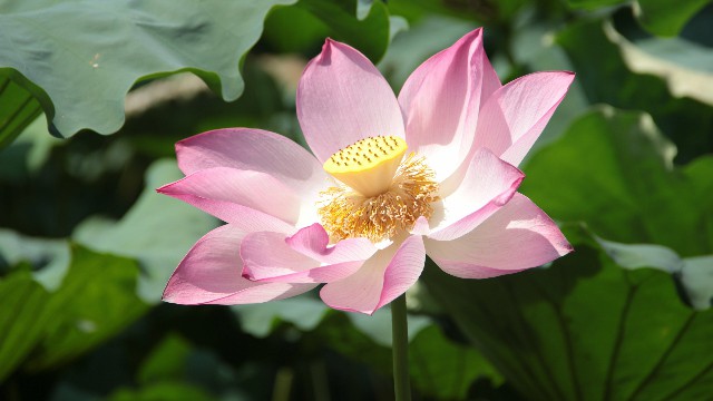 「讲时尚的三虎」几句伤感系爱情语录，句句触动泪点，让人能量满满