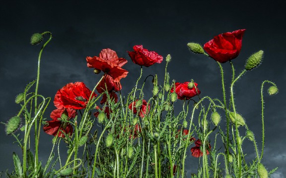 【讲时尚的三虎】最简短的经典说说，字字舒服，送给最爱的人