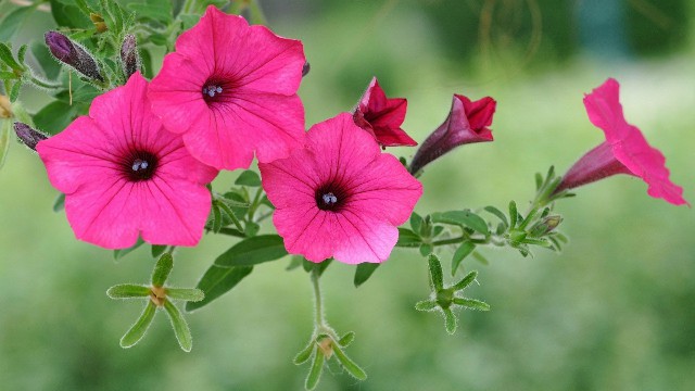 「大潘谈情说爱」最有意境的句子，唯美忧伤，哪一句刺痛了你的心