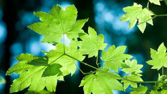 「大潘谈情说爱」最有意境的句子，唯美忧伤，哪一句刺痛了你的心