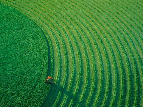 「大潘谈情说爱」最有意境的句子，唯美忧伤，哪一句刺痛了你的心