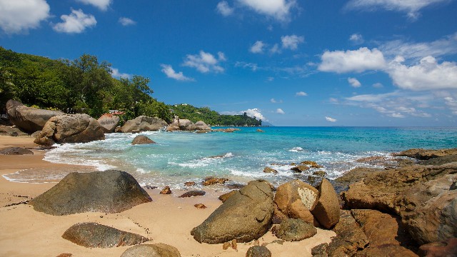 「大潘谈情说爱」最有意境的句子，唯美忧伤，哪一句刺痛了你的心