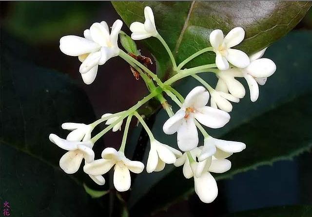 「感悟哲理美文」人与人能相遇，皆靠缘分