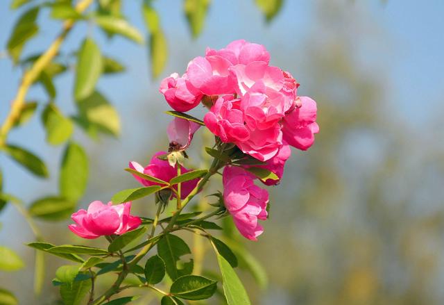 「感悟哲理美文」人与人能相遇，皆靠缘分