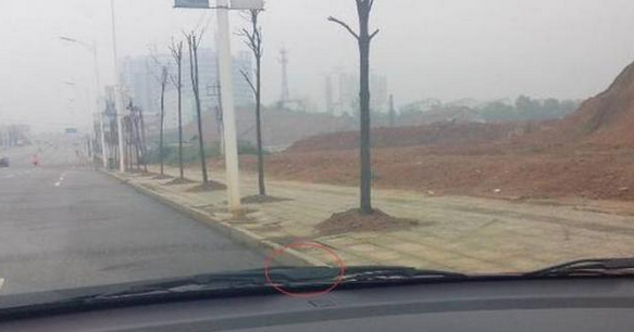 车家号■看不见车头，如何看前方距离？