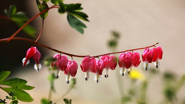 #与然讲娱乐#人生感悟唯美的句子，直击人心，总结的很精辟