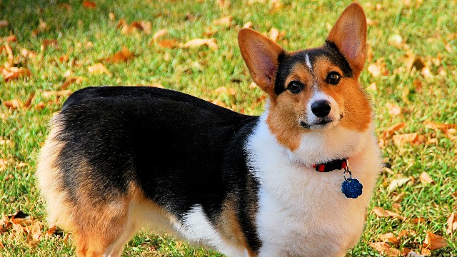 哲姝讲八卦：人生感悟唯美的句子，字字诛心，送给很累很憔悴的你