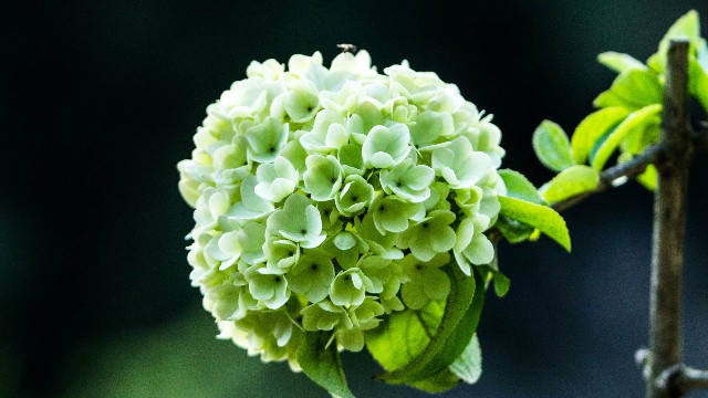 「小酒肆说影视」人生感悟经典哲理语句，唯美忧伤，送给深夜孤独的人