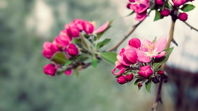 「下火舞娱乐」最简短的经典说说，句句暖心感人，送给最爱的人