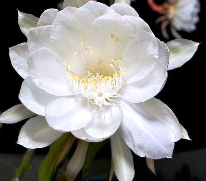 生活万万千@看了就想摘抄的个性签名，句句经典，人见人爱