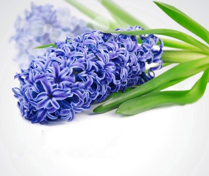 生活万万千@看了就想摘抄的个性签名，句句经典，人见人爱