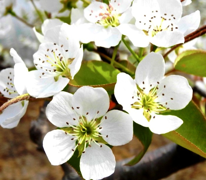 生活万万千@看了就想摘抄的个性签名，句句经典，人见人爱