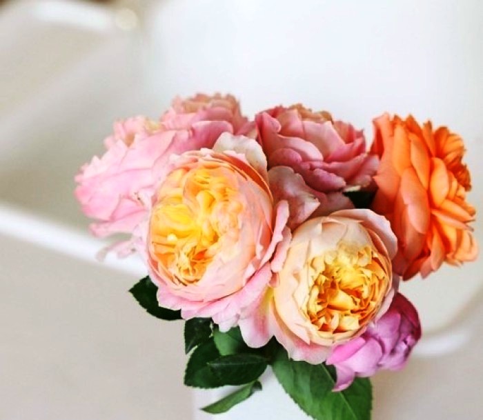 生活万万千@看了就想摘抄的个性签名，句句经典，人见人爱