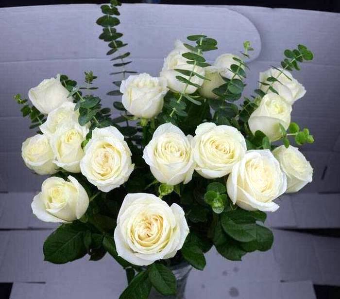 生活万万千@看了就想摘抄的个性签名，句句经典，人见人爱