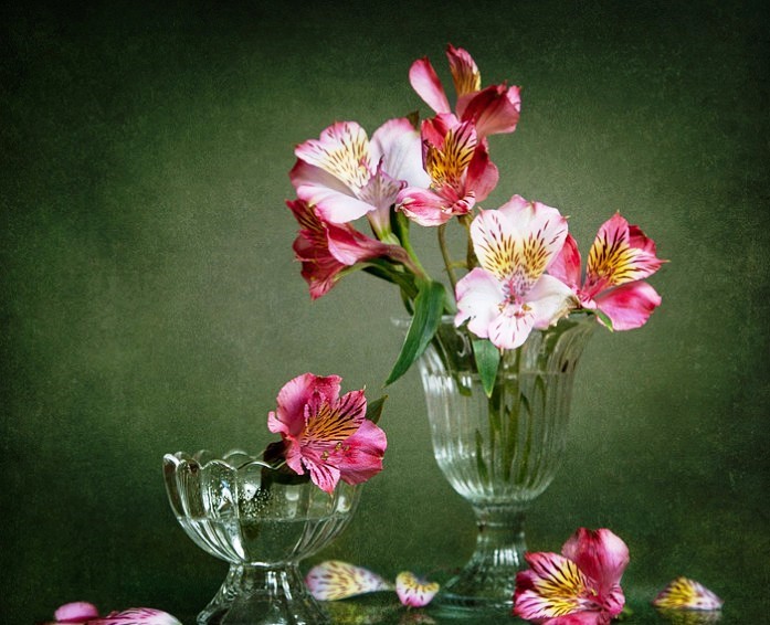 生活万万千@看了就想摘抄的个性签名，句句经典，人见人爱