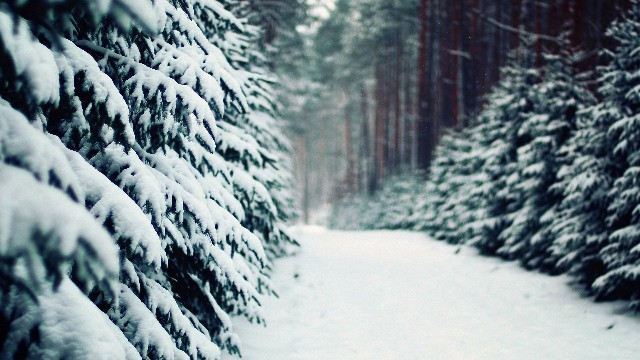 「斑马娱乐君」现实生活说说心情句子，句句痛彻心扉心，送给心累迷茫的你