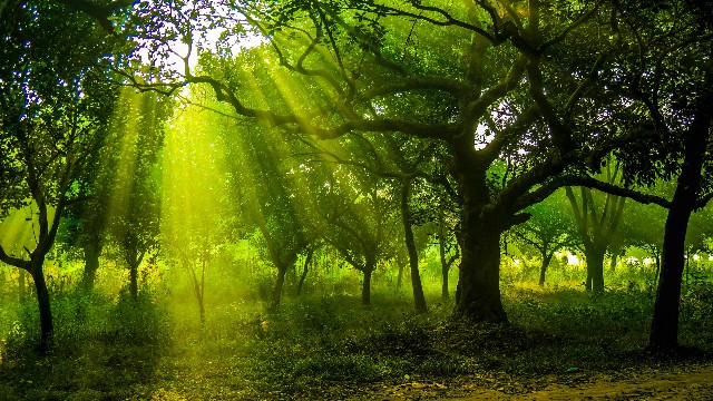 #斑马娱乐君#最伤心难过无助的说说，有深度有哲理，总有一句说到你心坎里