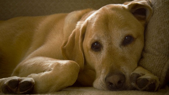 斑马娱乐君@让人心酸想哭的说说短句，句句犀利扎心，让你恍然大悟