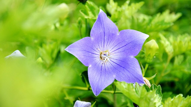 斑马娱乐君@让人心酸想哭的说说短句，句句犀利扎心，让你恍然大悟