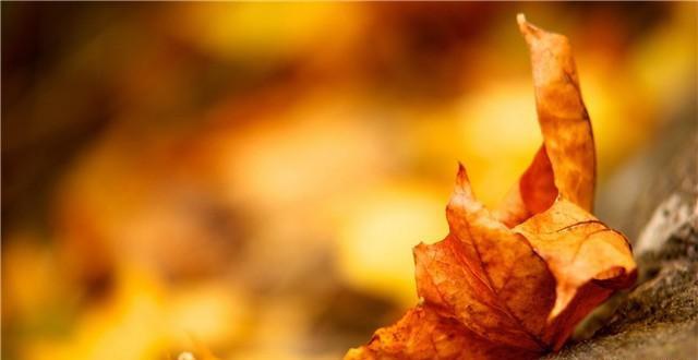 「禅读TB」待人诚为先，做事勤为先