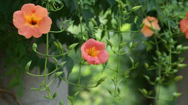 说时尚的紫楠：比较霸道的励志句子，简短经典，让人一看就喜欢