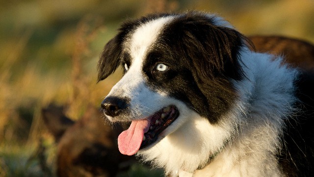 说时尚的紫楠：比较霸道的励志句子，简短经典，让人一看就喜欢