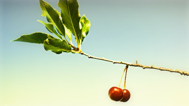 说时尚的紫楠：比较霸道的励志句子，简短经典，让人一看就喜欢