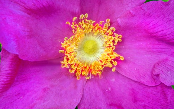 [晓兰育儿小知识]这些句子说给女生听，唯情不忘，哪一句说到了你的心里