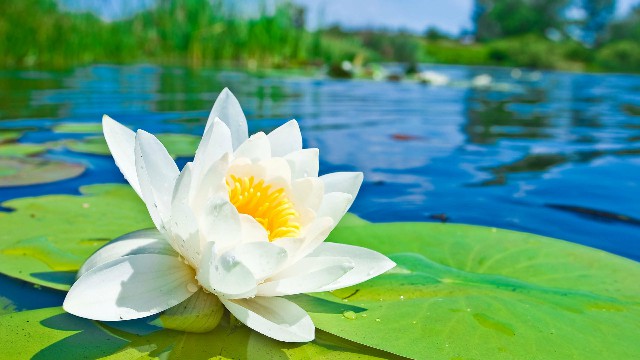 梦洁育儿摇篮：人生感悟经典哲理语句，句句经典至极，有没有一句戳中泪点