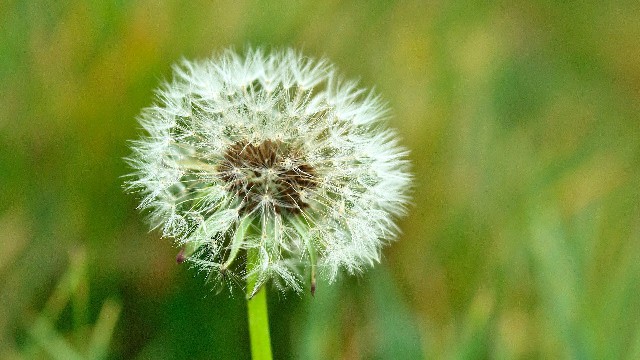 梦洁育儿摇篮：人生感悟经典哲理语句，句句经典至极，有没有一句戳中泪点
