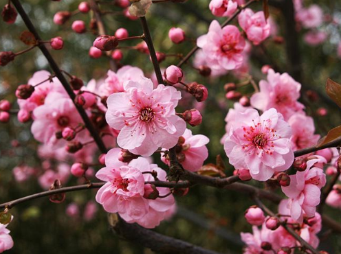 #痞子飞#时间会告诉你，哪些人才是真的爱你