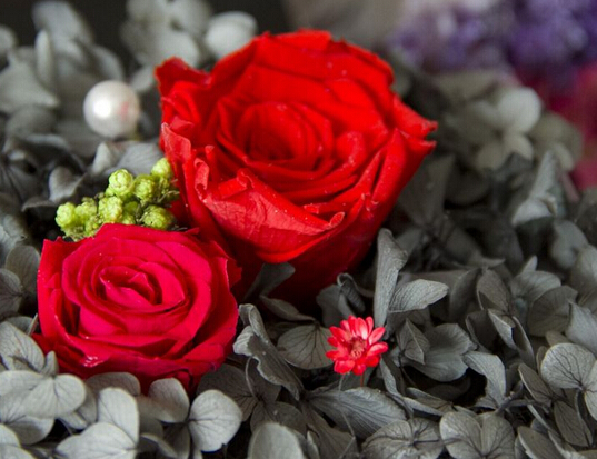 #痞子飞#时间会告诉你，哪些人才是真的爱你