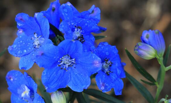 #痞子飞#时间会告诉你，哪些人才是真的爱你