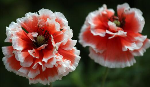 #痞子飞#时间会告诉你，哪些人才是真的爱你