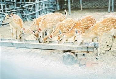 英语轻松点■在你不喜欢自己的时候，让我喜欢你吧