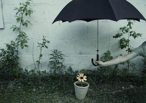 笔墨流长■人生的二十五件奢侈品，你拥有多少？