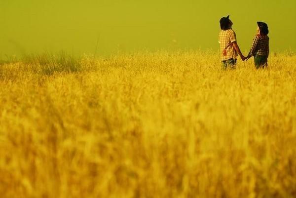 笔墨流长■人生的二十五件奢侈品，你拥有多少？