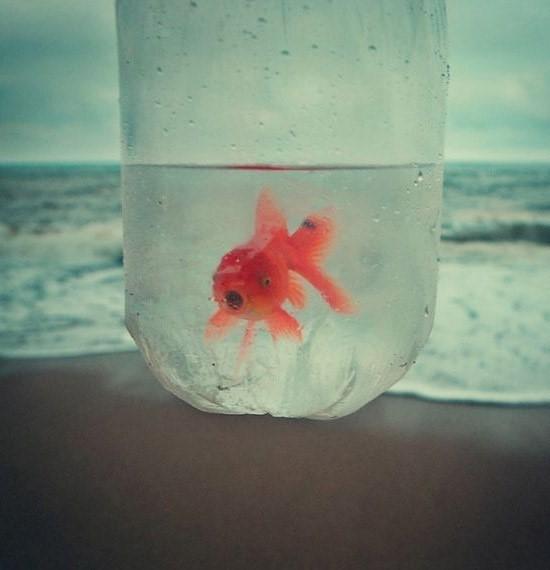 笔墨流长■人生的二十五件奢侈品，你拥有多少？