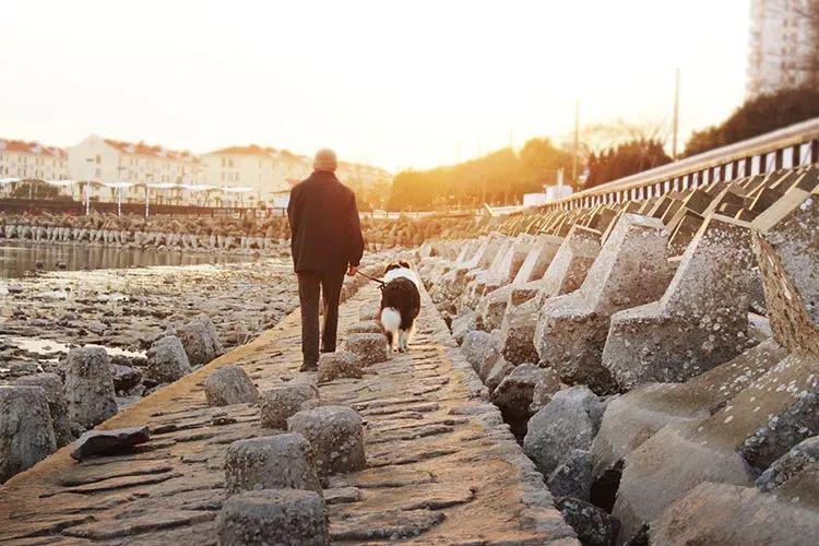 企业管理频道：对待父母的态度，是你最真实的人品