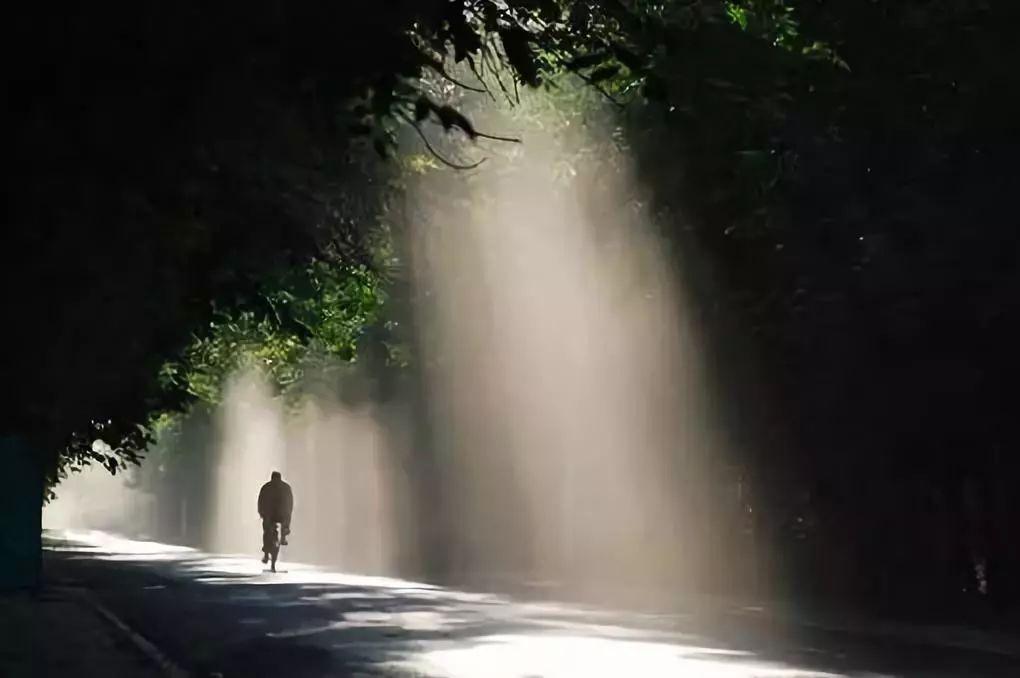 企业管理频道：对待父母的态度，是你最真实的人品