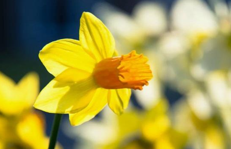 人生处世智慧：有大福报的人身上都有这两个特点，人生大富大贵！