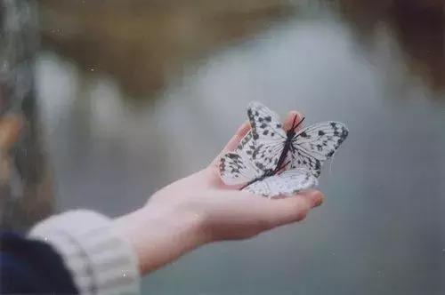 「柠檬美文」人贵自知，你将越来越成功！