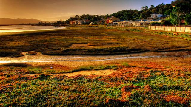 柠檬美文@这些图太美，太惊艳了！