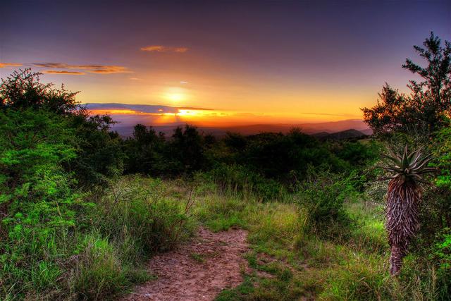 柠檬美文@这些图太美，太惊艳了！
