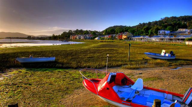 柠檬美文@这些图太美，太惊艳了！