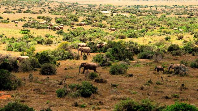 柠檬美文@这些图太美，太惊艳了！