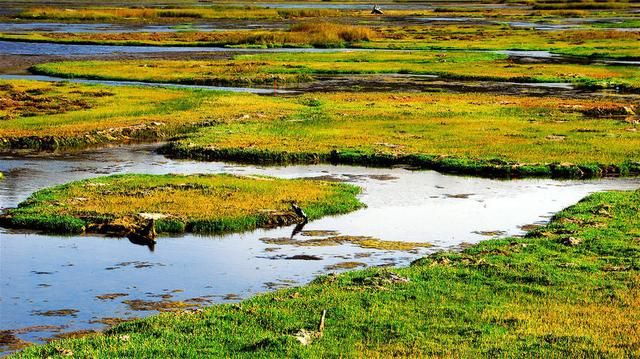 柠檬美文@这些图太美，太惊艳了！