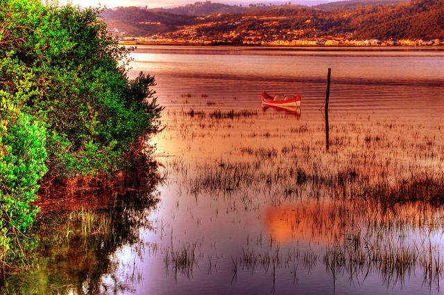 柠檬美文@这些图太美，太惊艳了！