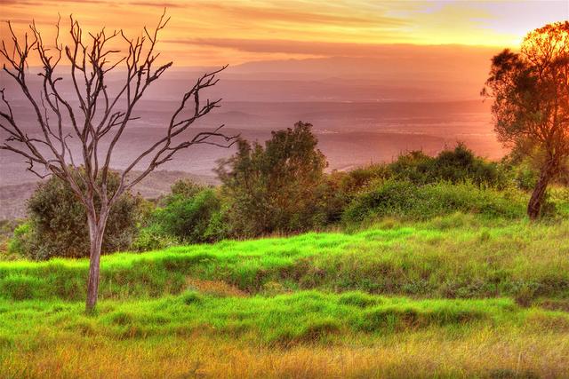 柠檬美文@这些图太美，太惊艳了！